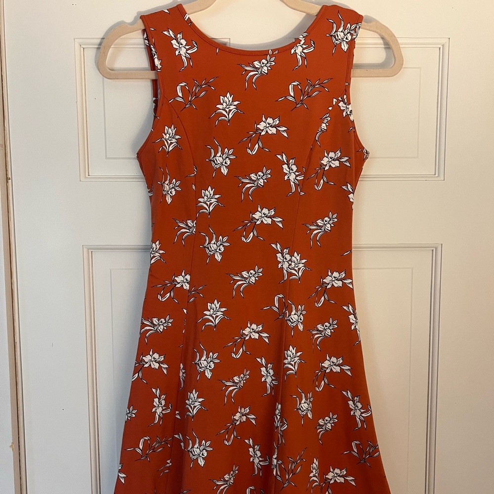 3 for 1 --- Forever21 Skater Dresses